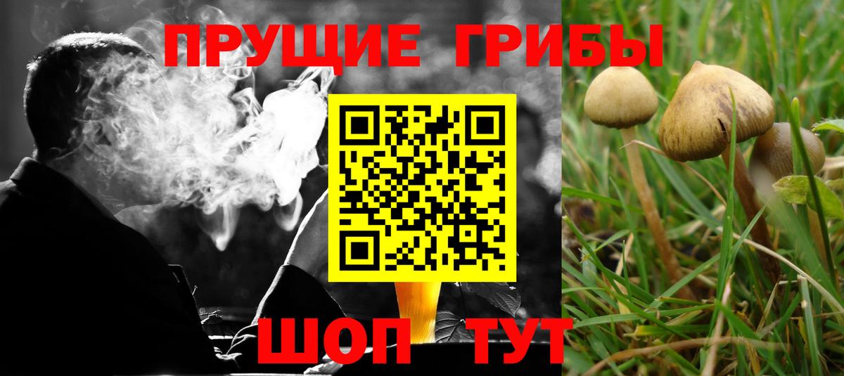 Галлюциногенные грибы Cubensis  Вход с VPN  Артёмовский 